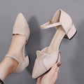 Chunky Heel Pointed Toe Low-Cut Shoes (3-5cm) Rubber