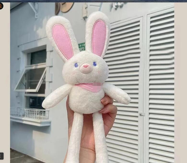 "Trendy Plush Rabbit Keychain Toy with Long Ears"