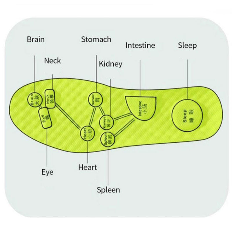 Wormwood Breathable Sweat-Absorbing Insoles for All