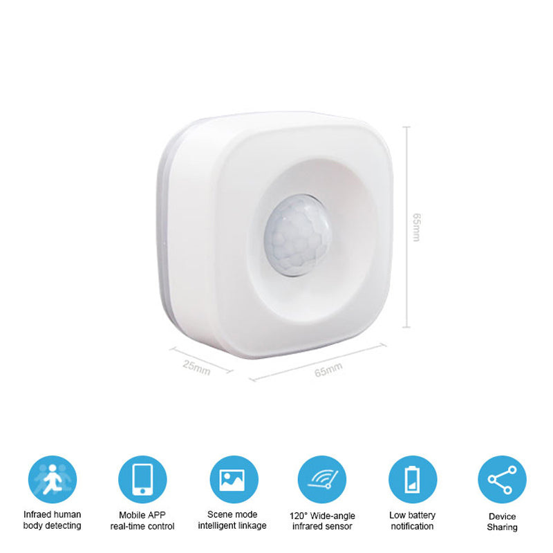Smart Life Motion Sensor Detector