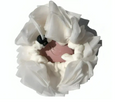 Leeffa™ Soft Loofah and Washcloth (One Piece)