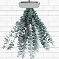 12 Pcs Dried Eucalyptus Stems for Shower 17 Natural Real Live Eucalyptus Leaves Branches Hanging Shower Plant for SPA Home Fragrance Bathroom Table Vase Decor