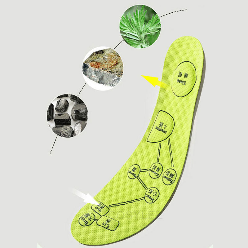 Wormwood Breathable Sweat-Absorbing Insoles for All