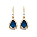 Elegant Blue Crystal Drop Earrings with Hollow Design