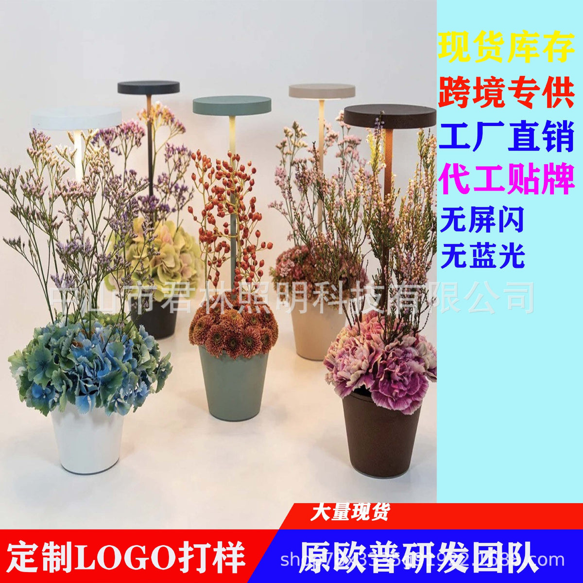 Multifunctional LED Pot Lamp for Bedroom & Living Room