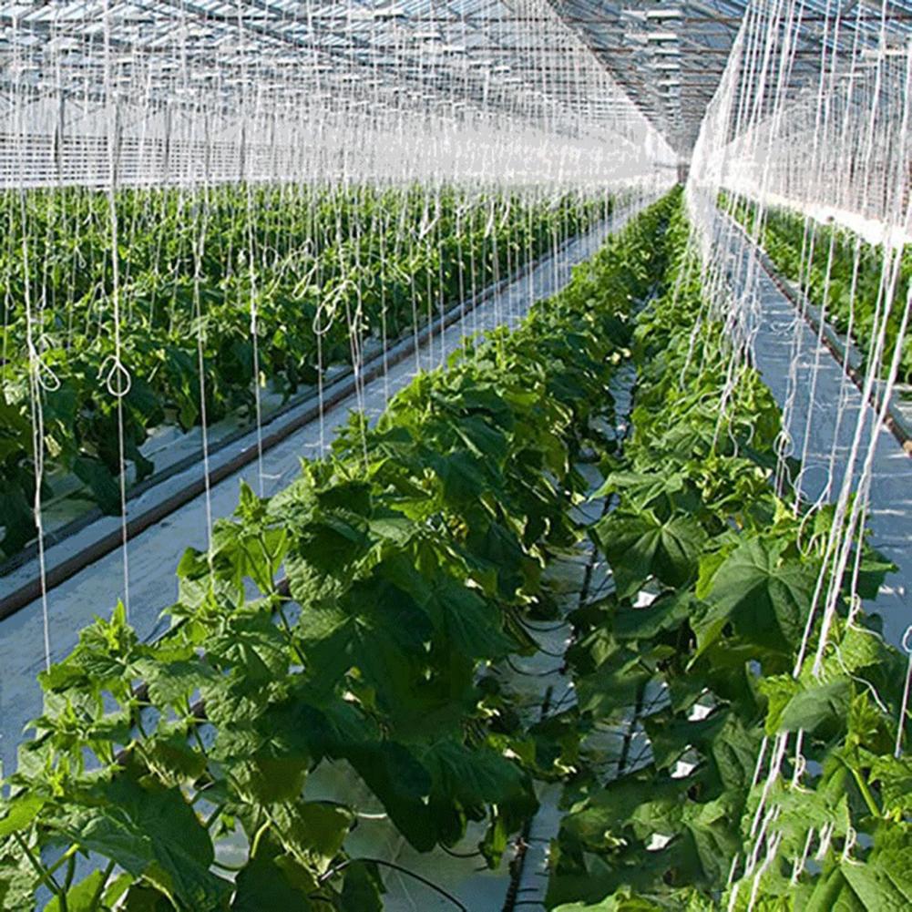 Plastic Twine Crop Trellis Roller Hook for Garden Use