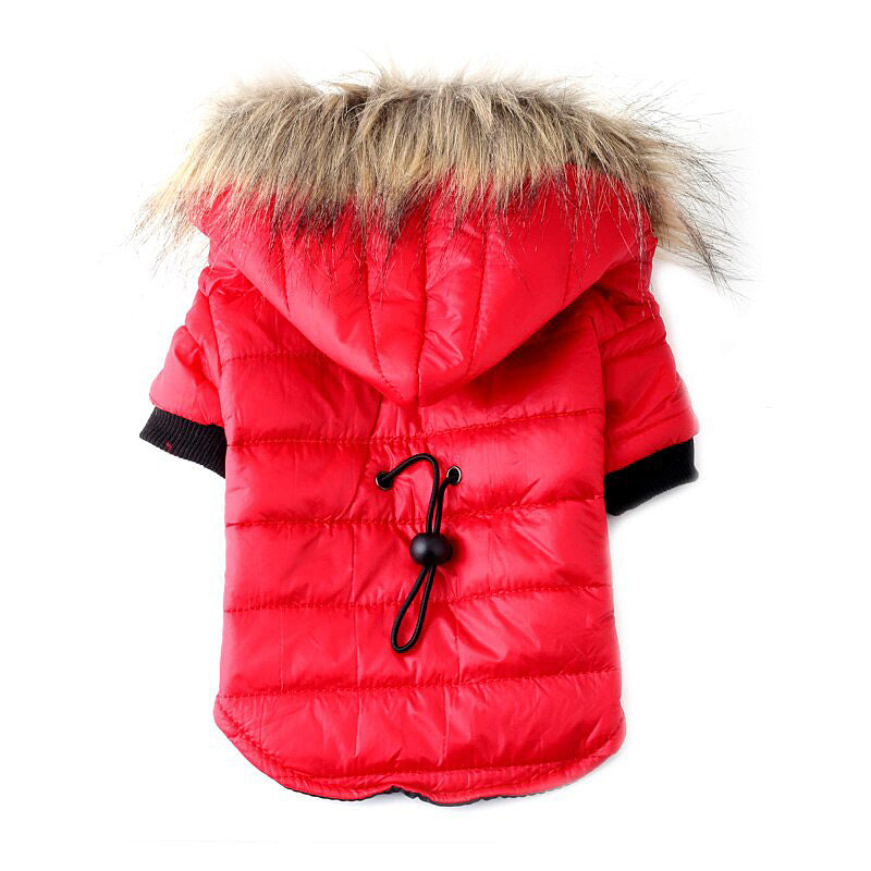 Autumn Winter Teddy Pet Sweater Clothing