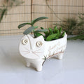 Ceramic Succulent Planter with Cat Design