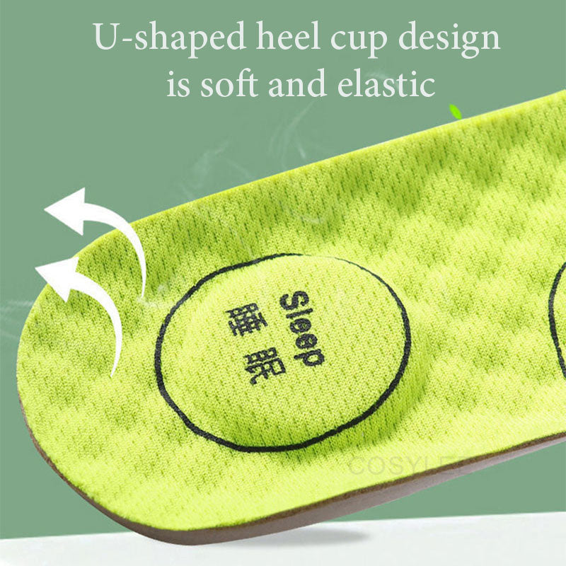 Wormwood Breathable Sweat-Absorbing Insoles for All
