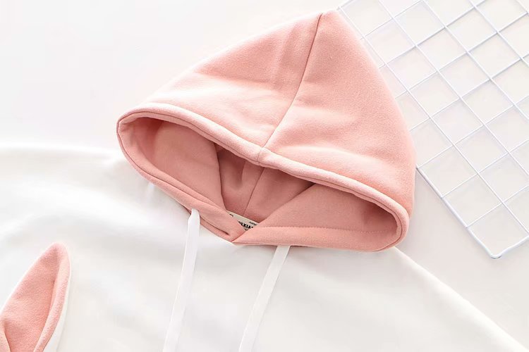 Cute Rabbit Carrot Embroidered Fleece Hoodie 57229