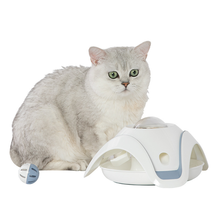 Puzzle Feeder Toy for Cats - Earth Visitor Design