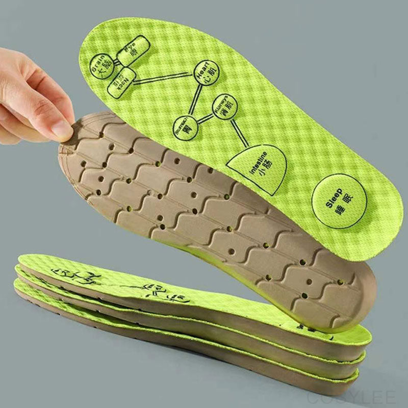 Wormwood Breathable Sweat-Absorbing Insoles for All