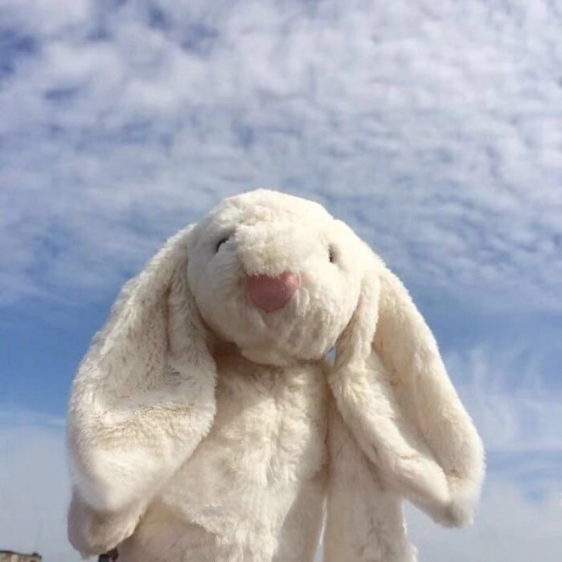 Wholesale Rabbit Plush Toy - Cute Ins Style Gift