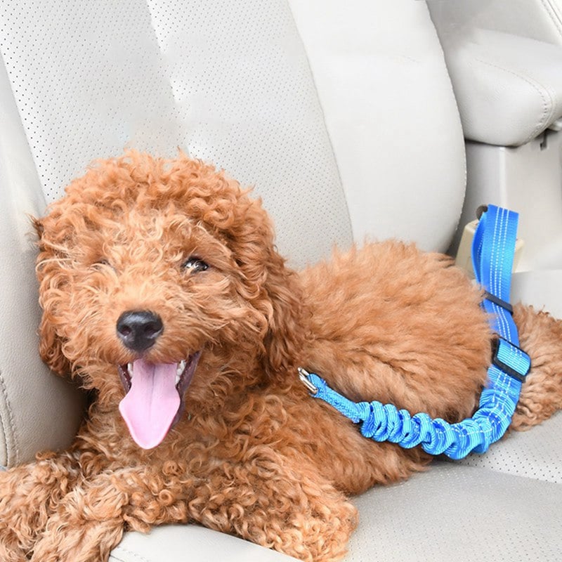 Elastic Dog Car Seat Belt Traction Rope