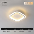 Modern Minimalist Ceiling Light for Hallway and Balcony