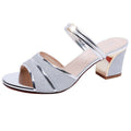 Summer Women's Chunky Heel Open-Toe Sandals