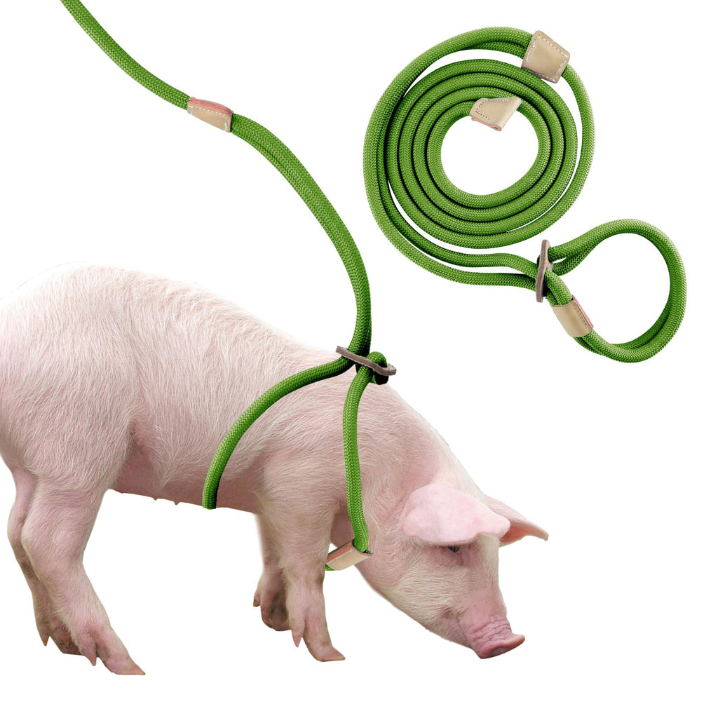 Mini Pig Harness & Leash Adjustable 8 Feet Long Rope for Small to Medium Pet Pigs